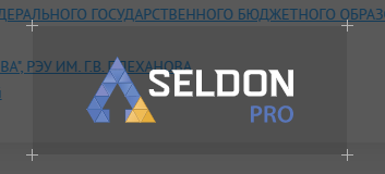 Seldon.Doc 2.0: Способы добавления закупок